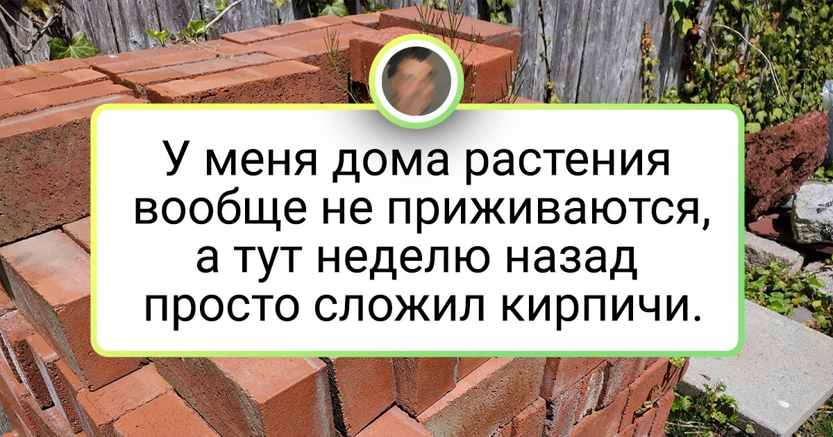 20 впечатляющих раз, когда природа показала, на что она способна 20 впечатляющих раз, когда природа показала, на что она способна