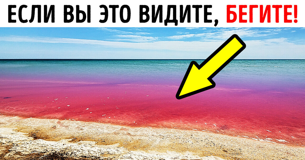 Если вода стала кроваво-красной, не входите в нее! / AdMe