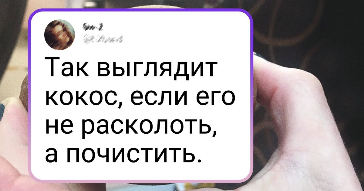 20+ фото, которые без занудства ответят на вопрос «Что будет, если?..» 20+ фото, которые без занудства ответят на вопрос «Что будет, если?..»