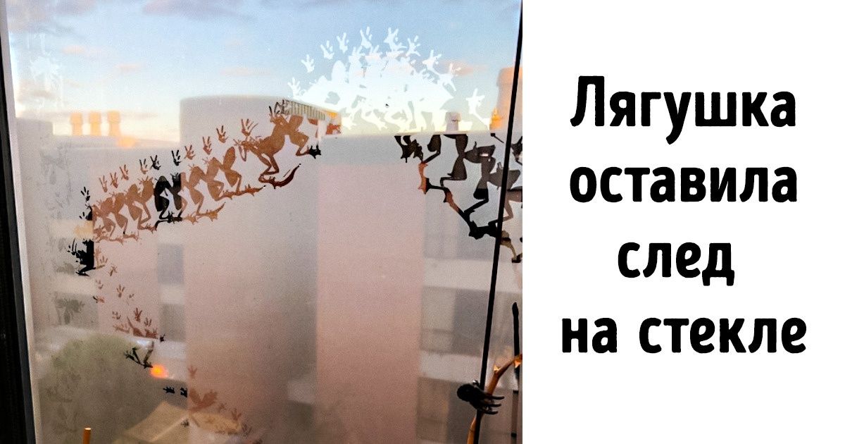 16 фото от пользователей, которые умеют выхватить смартфон так же ловко, как ковбои — пистолет 16 фото от пользователей, которые умеют выхватить смартфон так же ловко, как ковбои — пистолет
