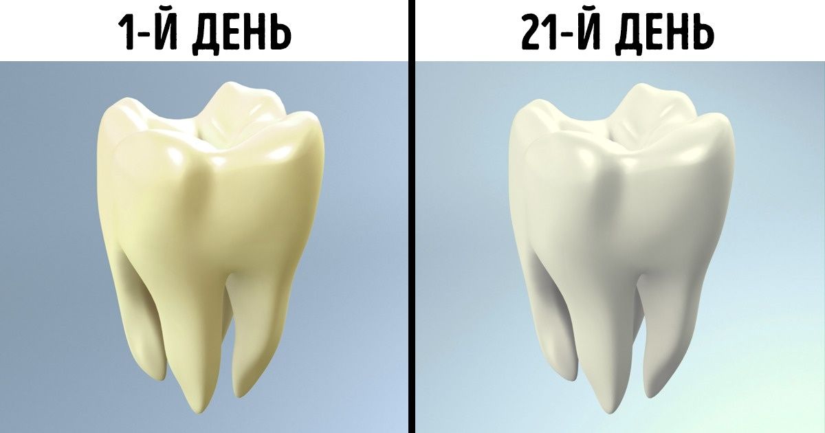 Сигналы опасности в первую очередь действуют на замыкающие клетки устьиц растений