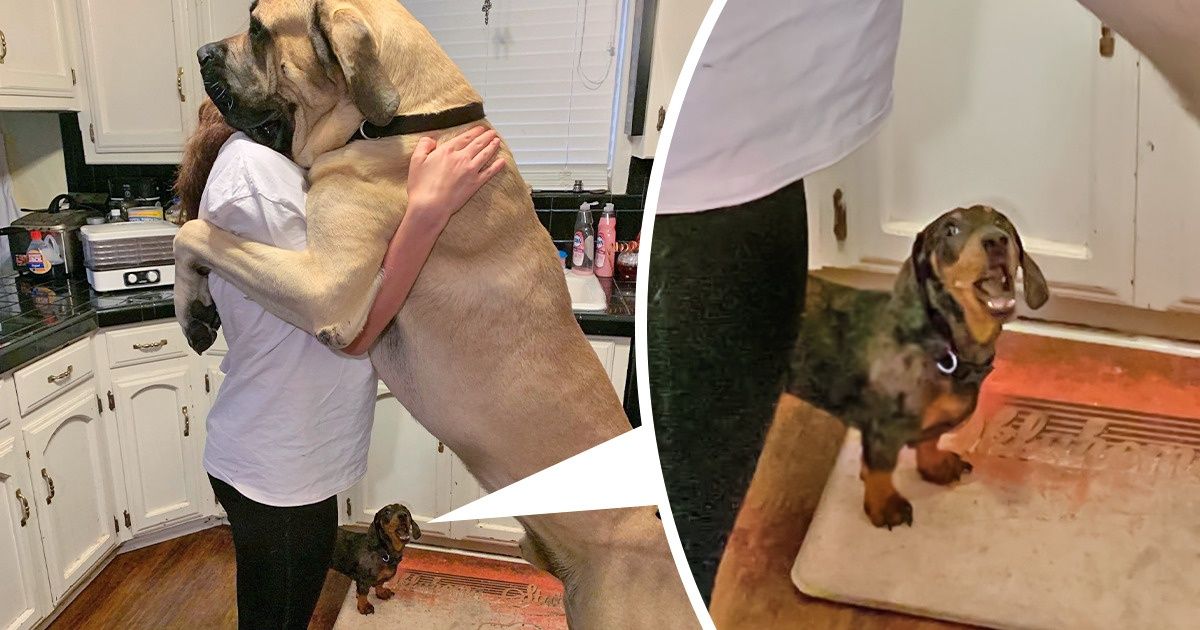 20+ хороших мальчиков, которые выросли такими огромными, что впору покупать для них отдельный дом 20+ хороших мальчиков, которые выросли такими огромными, что впору покупать для них отдельный дом