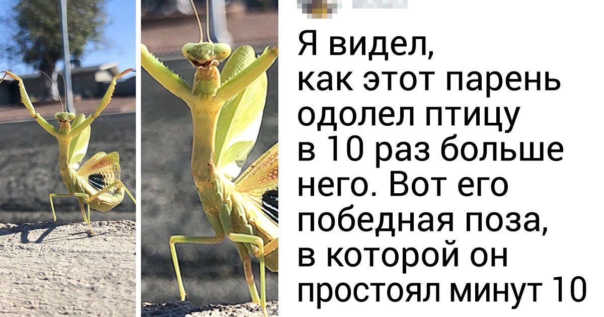 15 поразительных фото нашего мира для тех, кто думает, что их уже ничем не удивить