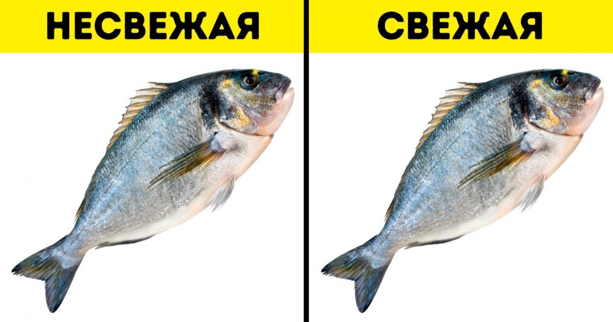 Держи рыбу