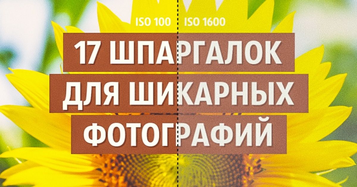 17 шпаргалок, которые помогут делать шикарные фотографии 17 шпаргалок, которые помогут делать шикарные фотографии