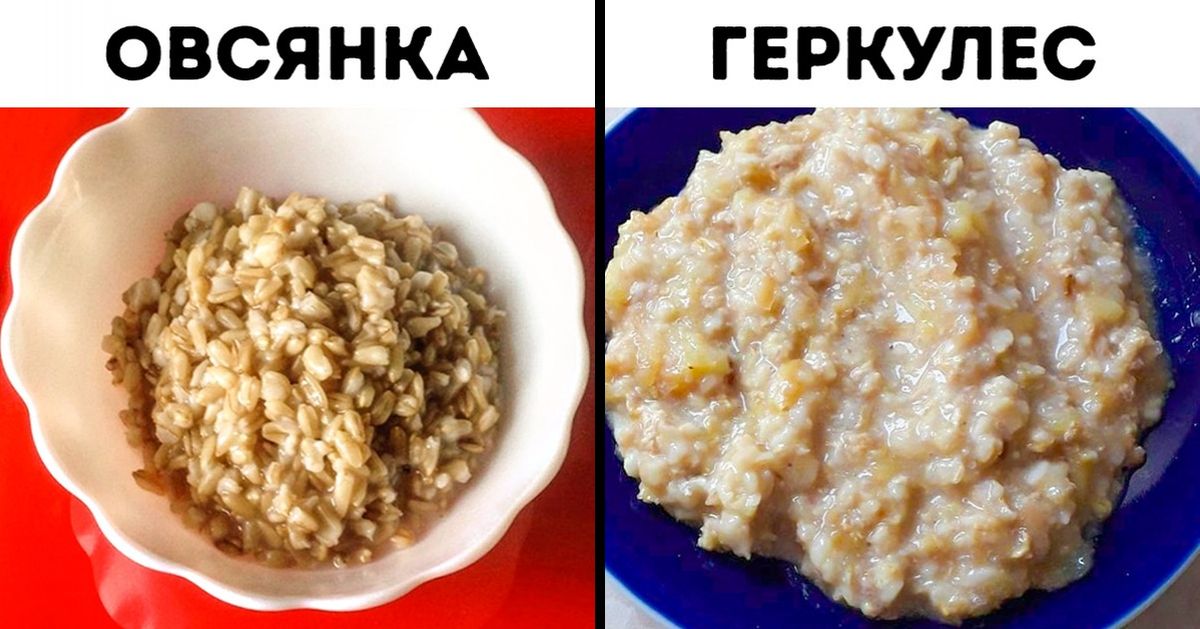 15 похожих, но разных вещей, которые путают даже образованные люди