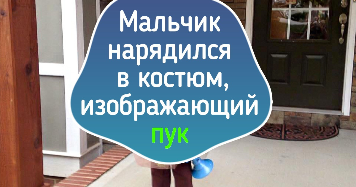 16 фотографий, которые на раз-два поднимут вам настроение 16 фотографий, которые на раз-два поднимут вам настроение