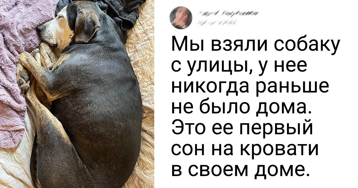 14 фото, за каждым из которых скрывается достойная фильма история 14 фото, за каждым из которых скрывается достойная фильма история
