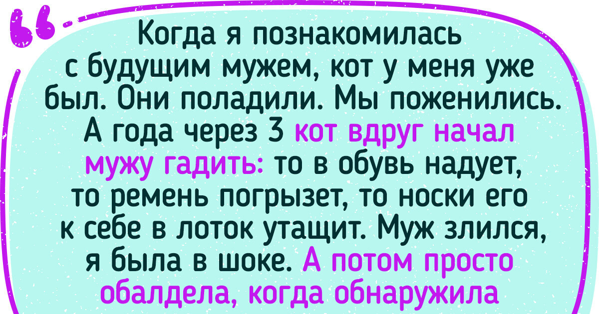 20+ хвостатых озорников, которые хозяевам ни минуты покоя не дают 20+ хвостатых озорников, которые хозяевам ни минуты покоя не дают
