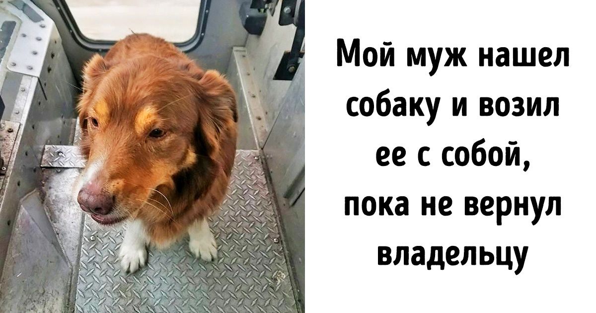 19 человек, которым и без костюма супергероя удается вершить добрые дела 19 человек, которым и без костюма супергероя удается вершить добрые дела