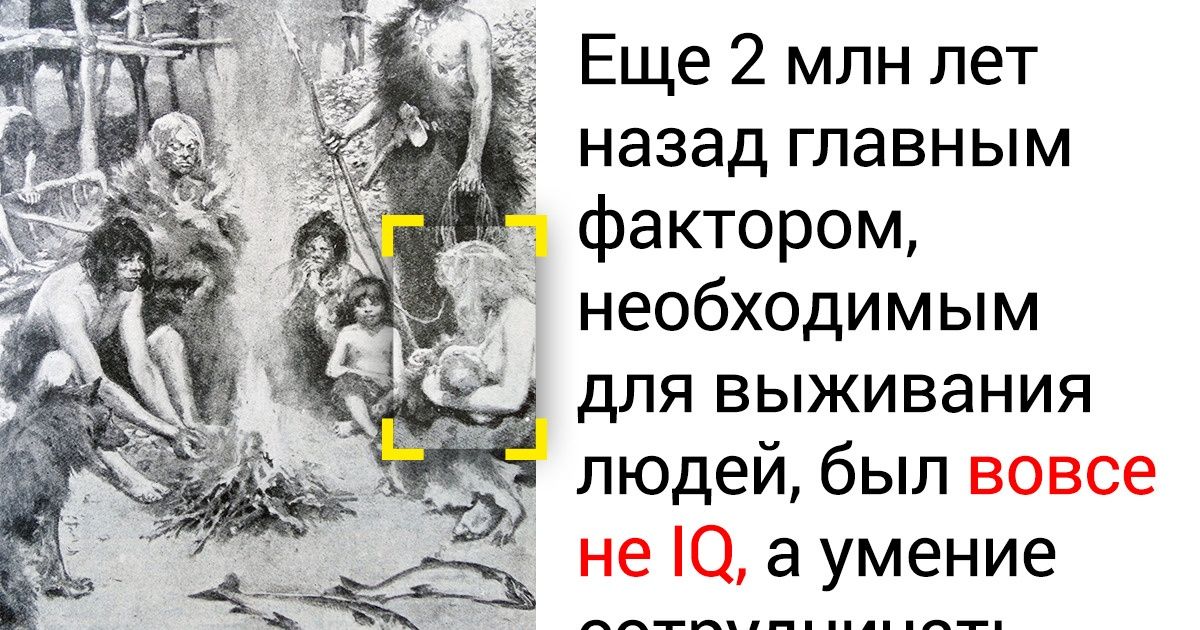 6 фактов, которые объяснят, почему человеческая глупость неподвластна эволюции (И почему это не так плохо, как кажется) 6 фактов, которые объяснят, почему человеческая глупость неподвластна эволюции (И почему это не так плохо, как кажется)