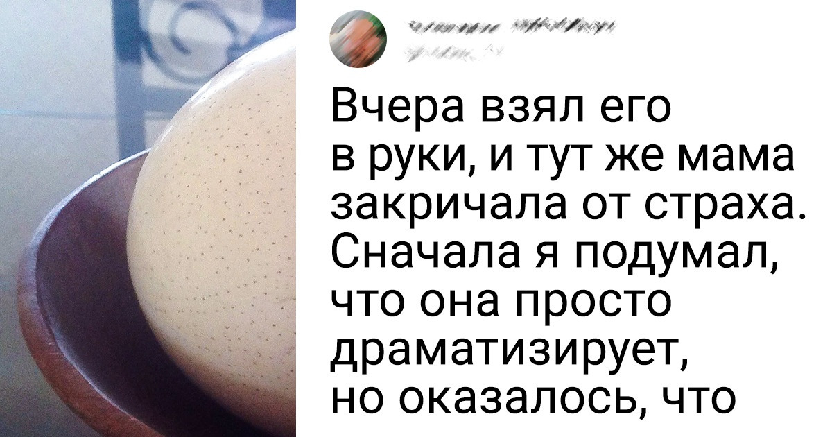 20+ человек, которым от предков достались такие вещи, что еще и правнукам не стыдно будет отдать 20+ человек, которым от предков достались такие вещи, что еще и правнукам не стыдно будет отдать