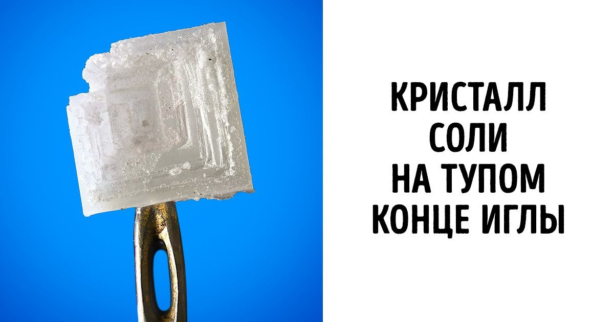 20+ фотографий того, как выглядят простые вещи при многократном увеличении 20+ фотографий того, как выглядят простые вещи при многократном увеличении