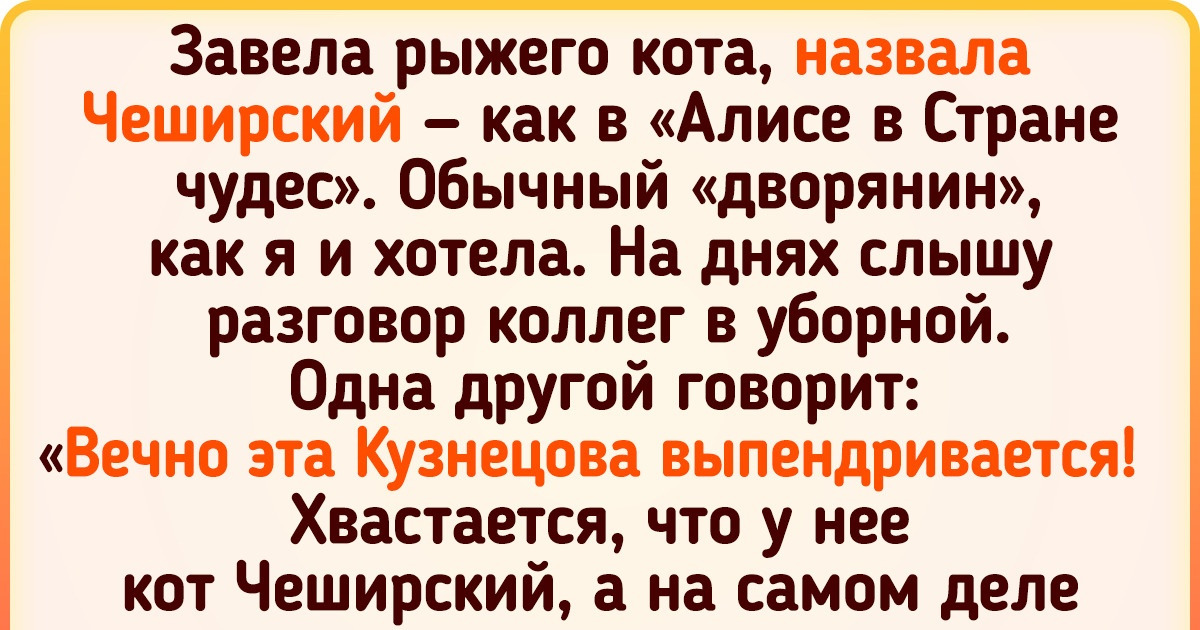 15+ хозяев, которых хлебом не корми — дай придумать питомцу нетривиальную кличку