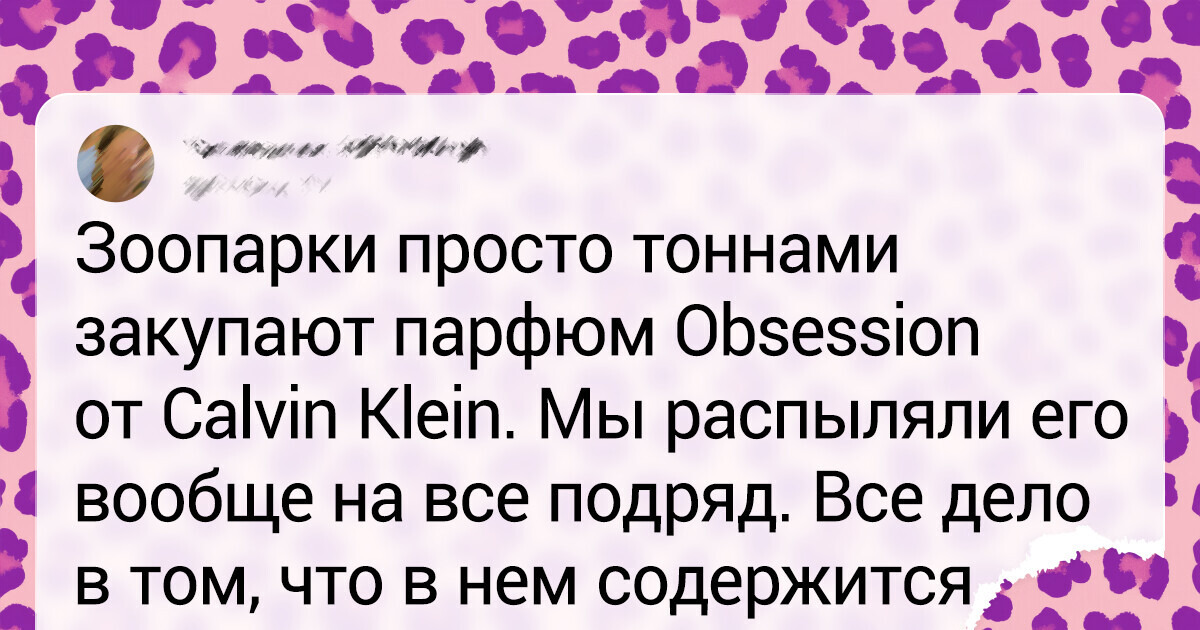 15+ фактов о том, каково это — работать в зоопарке 15+ фактов о том, каково это — работать в зоопарке