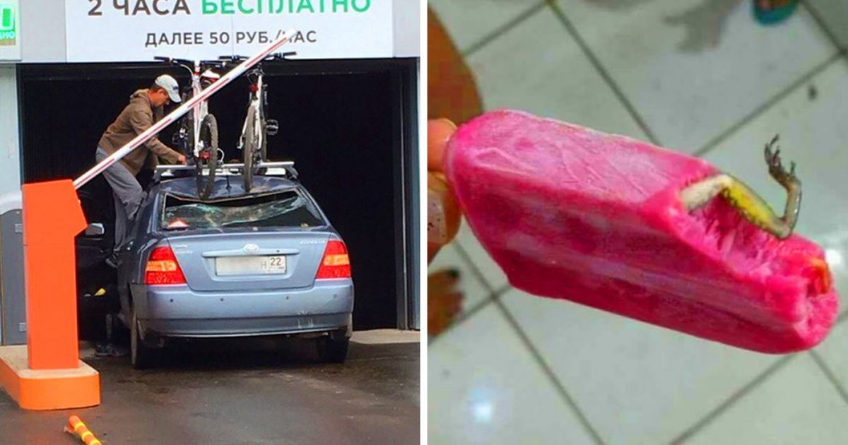 25 «везунчиков», у которых 2018 год не задался с самого начала 25 «везунчиков», у которых 2018 год не задался с самого начала