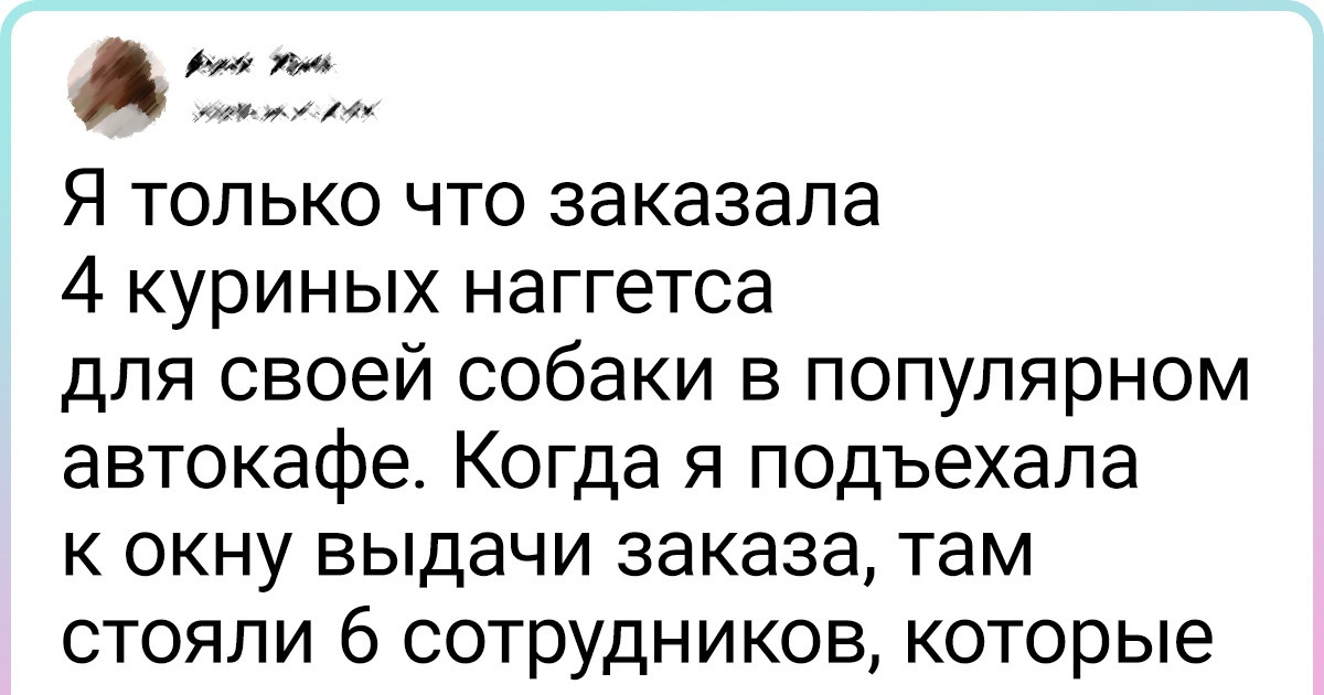 15+ твитов, с которыми согласятся все, кто души не чает в своих пушистых комочках счастья