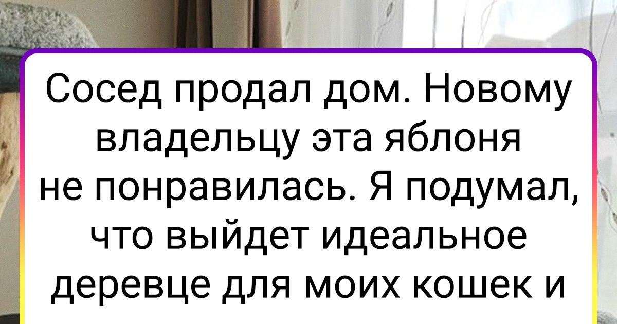 25 настолько заботливых хозяев, словно у них не питомцы, а принцессы растут