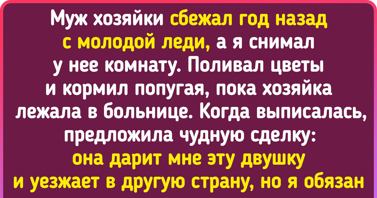 17 загадочных историй, в которые сложно поверить, но это чистая правда 17 загадочных историй, в которые сложно поверить, но это чистая правда