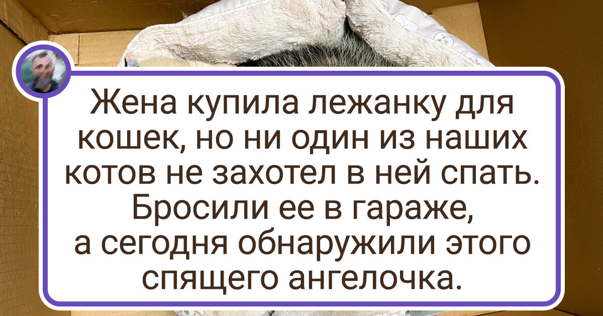 20 человек, которые не очень-то искали встреч с дикой природой, но та влезла без спросу 20 человек, которые не очень-то искали встреч с дикой природой, но та влезла без спросу