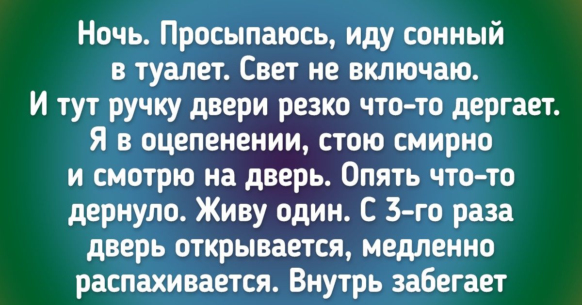 17 невыдуманных историй, которые щекочут нервишки похлеще фильмов ужасов 17 невыдуманных историй, которые щекочут нервишки похлеще фильмов ужасов