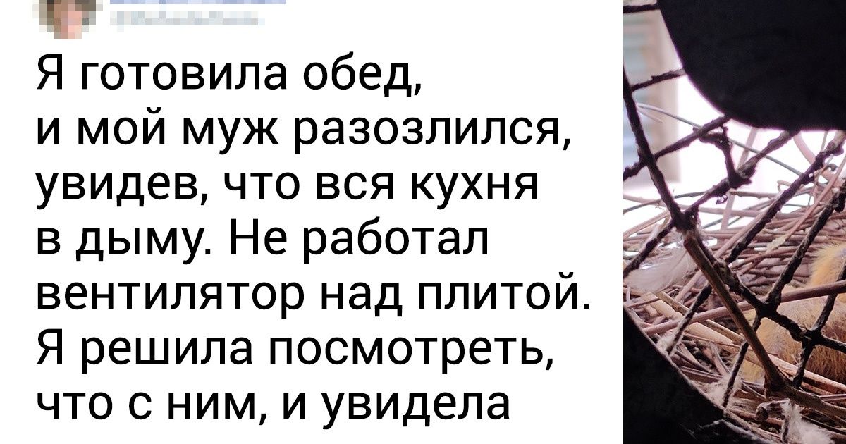 16 человек поделились своим маленьким счастьем, и мы читали эти истории затаив дыхание 16 человек поделились своим маленьким счастьем, и мы читали эти истории затаив дыхание