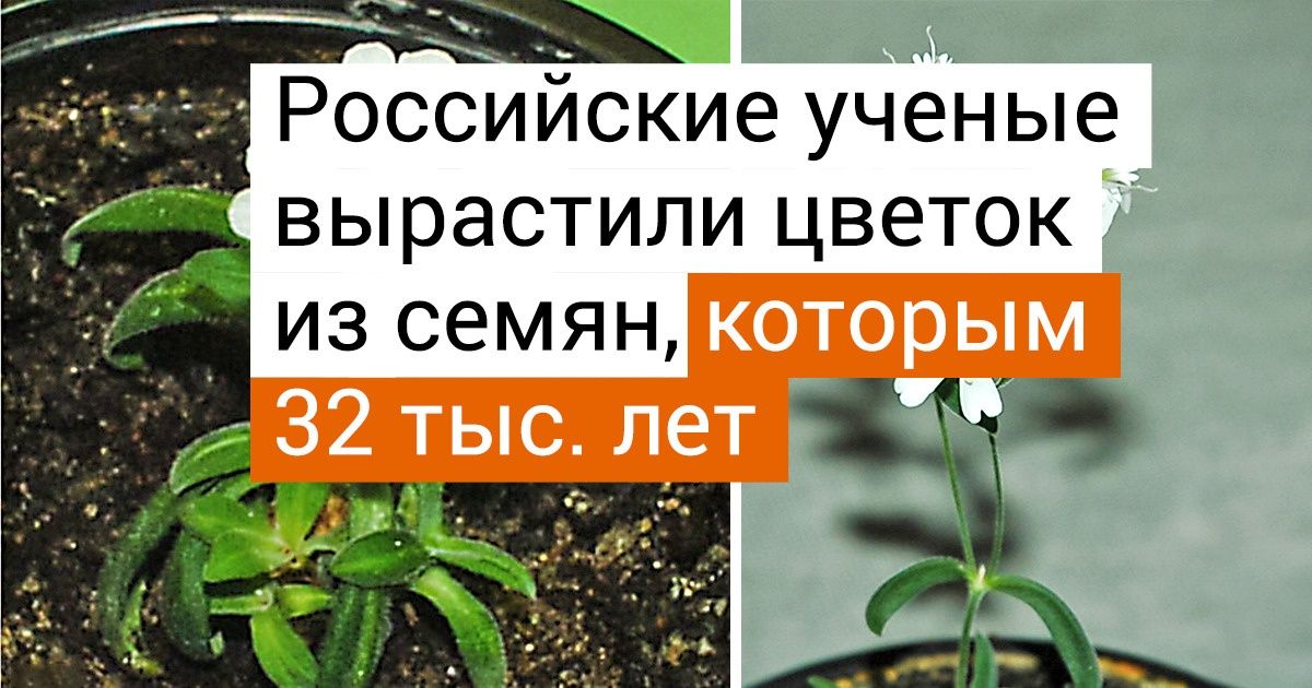 16 проникновенных фото, которые показывают всю мощь жизни