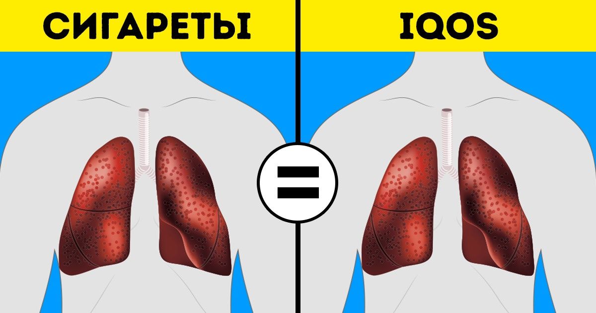 6 новых трендов, которые могут вам навредить 6 новых трендов, которые могут вам навредить