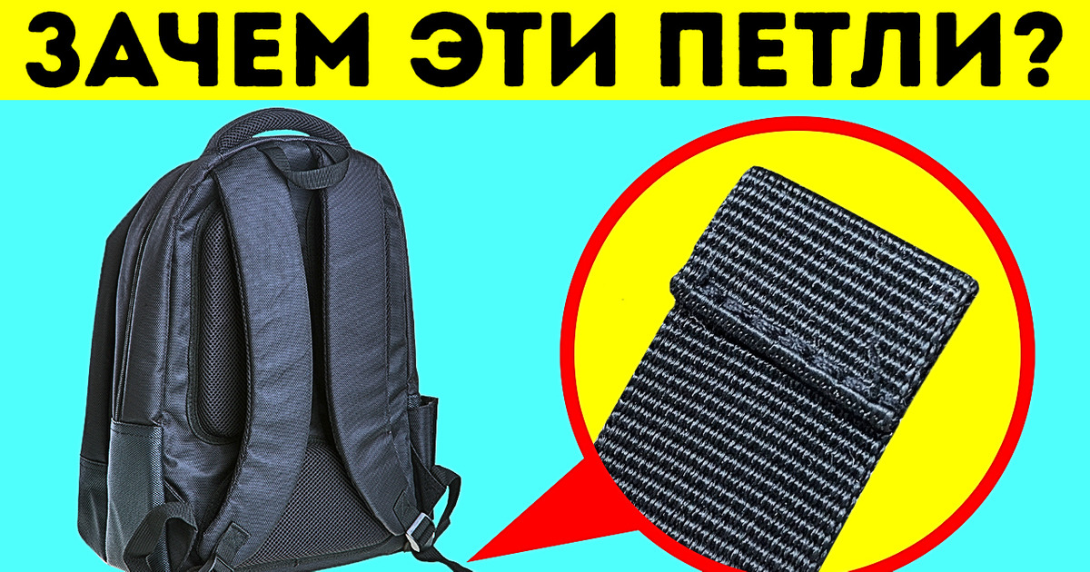 Бесконечные темы для бесед: 15 забавных и странных фактов