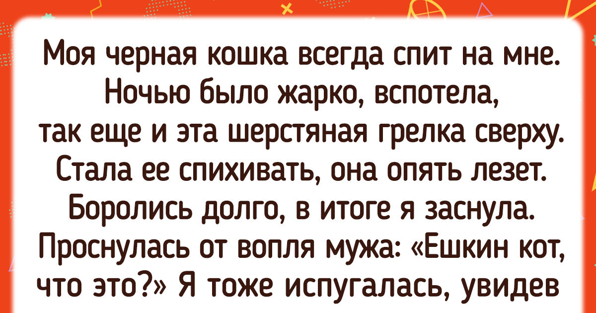 20 усатых-полосатых, у которых не только красивая мордочка, но и характер имеется 20 усатых-полосатых, у которых не только красивая мордочка, но и характер имеется