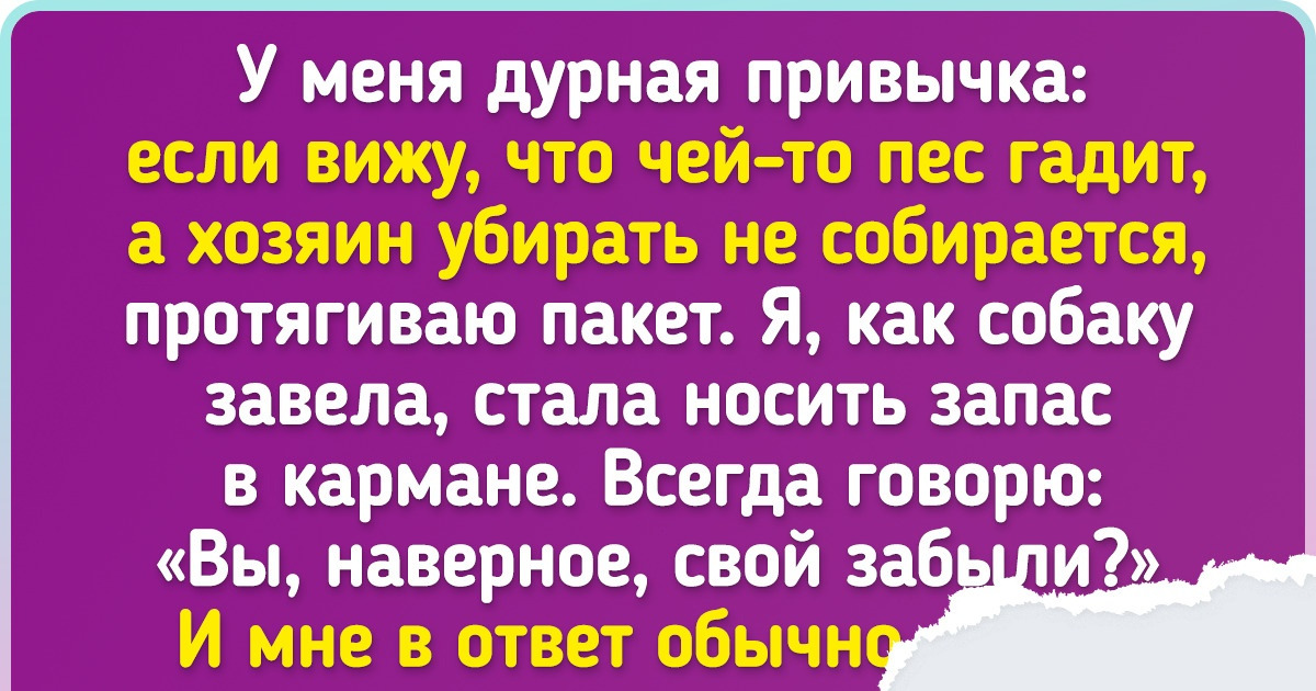 Почему я искренне считаю, что нет «плохих собак», а есть только невоспитанные хозяева Почему я искренне считаю, что нет «плохих собак», а есть только невоспитанные хозяева