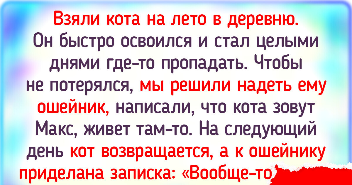 20 теплых историй о том, что наши питомцы отличаются умом и сообразительностью 20 теплых историй о том, что наши питомцы отличаются умом и сообразительностью
