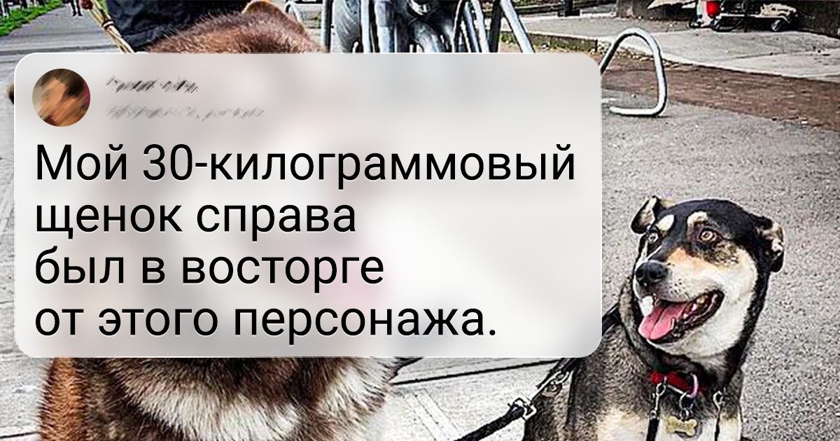 18 габаритных животных, у которых размер — главный козырь в любых вопросах 18 габаритных животных, у которых размер — главный козырь в любых вопросах