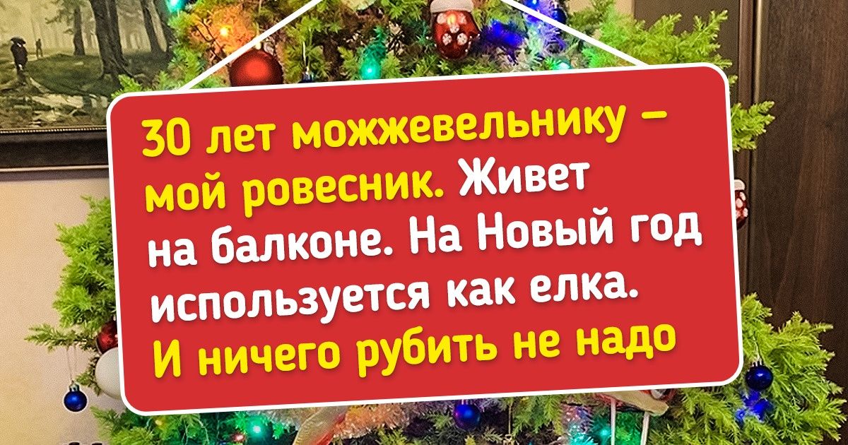 18 человек, которые спасают окружающий мир не постами в соцсетях, а реальными делами 18 человек, которые спасают окружающий мир не постами в соцсетях, а реальными делами