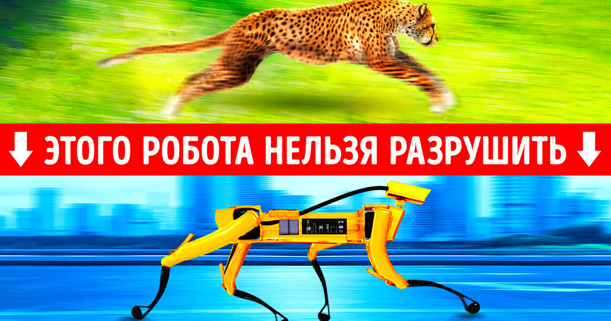 10 удивительных реальных роботов, созданных по образу животных