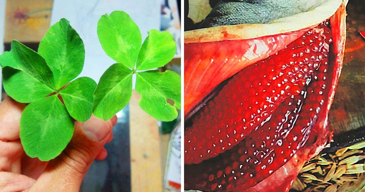 19 фотографий, авторам которых выпал тот самый единственный шанс на миллион 19 фотографий, авторам которых выпал тот самый единственный шанс на миллион