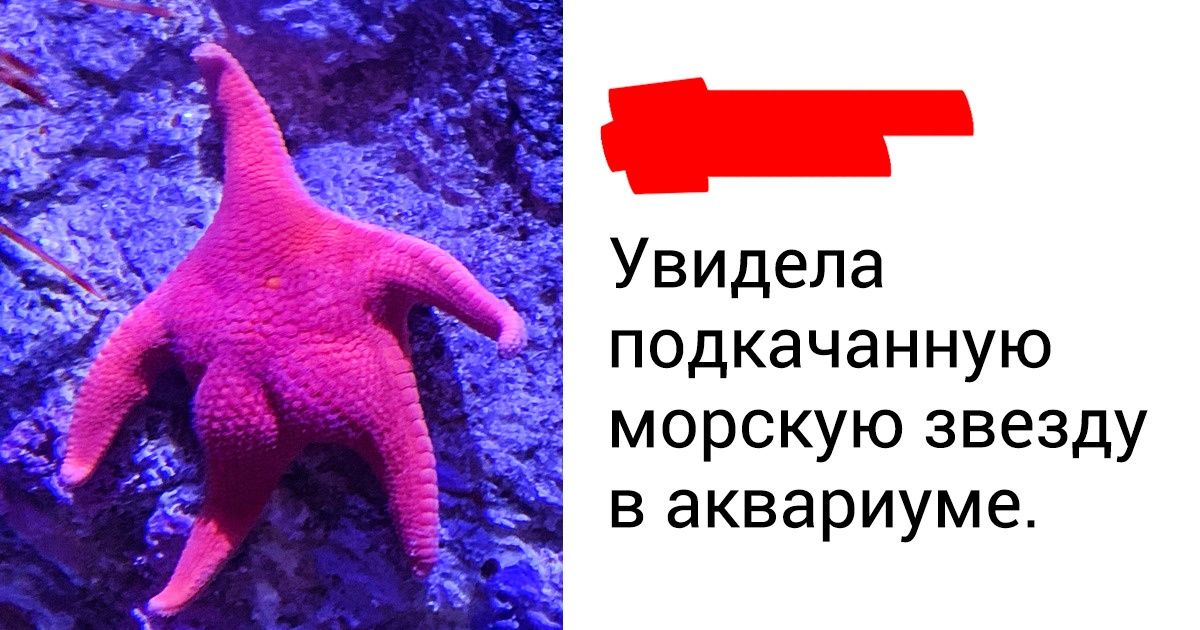 20+ доказательств того, что природе еще есть чем нас удивить