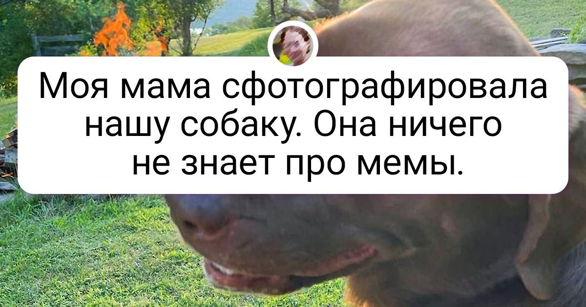 20+ доказательств, что мир порой чудит так, что остается только тихо сползать по стеночке
