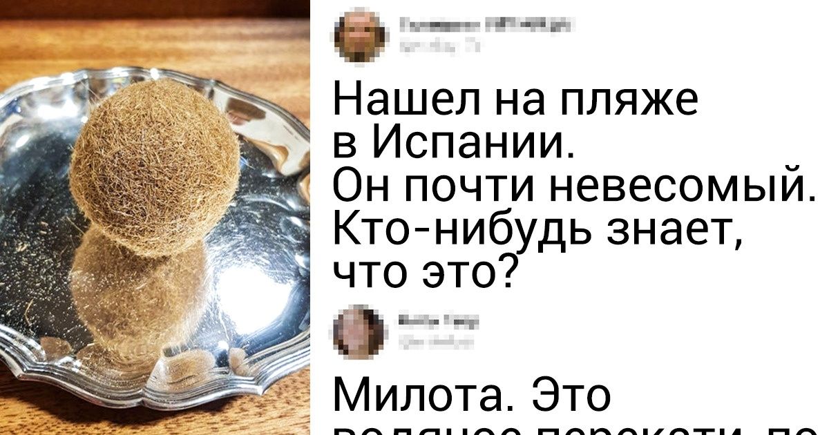 20 снимков, которые ошарашат даже тех, кто уверен, что видел все 20 снимков, которые ошарашат даже тех, кто уверен, что видел все