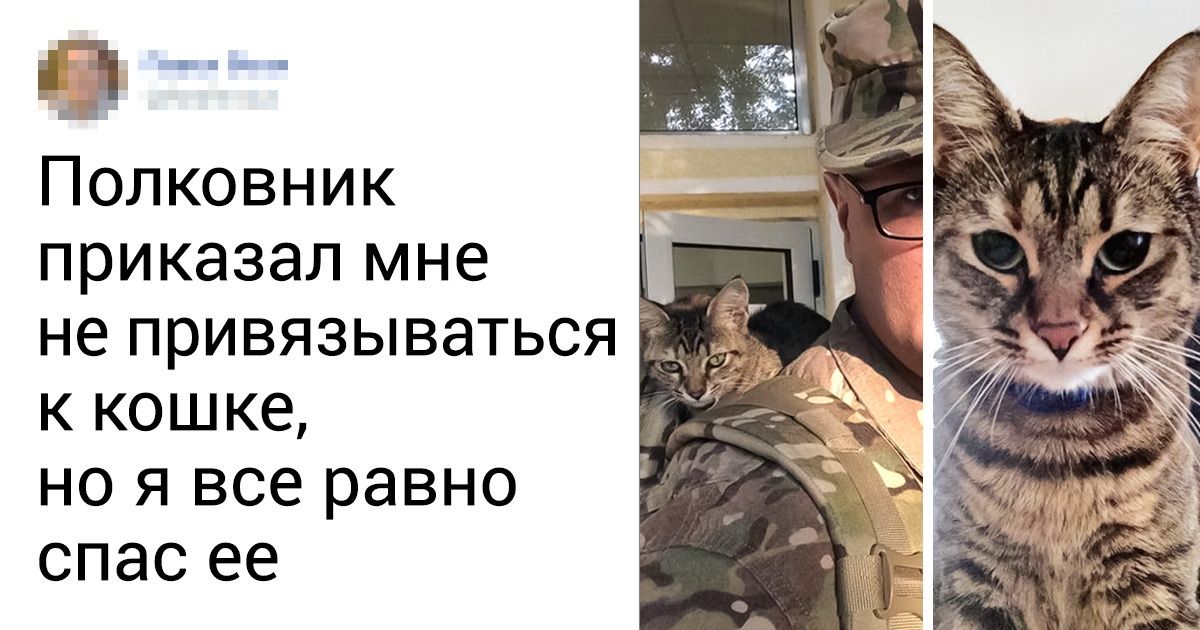 20+ доказательств того, что любовь животных способна растопить сердце даже самому суровому мужчине 20+ доказательств того, что любовь животных способна растопить сердце даже самому суровому мужчине