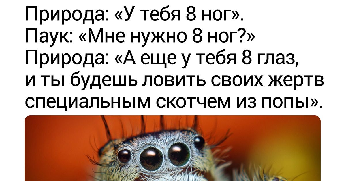 16 фантастических тварей, при создании которых природа слегка перемудрила 16 фантастических тварей, при создании которых природа слегка перемудрила