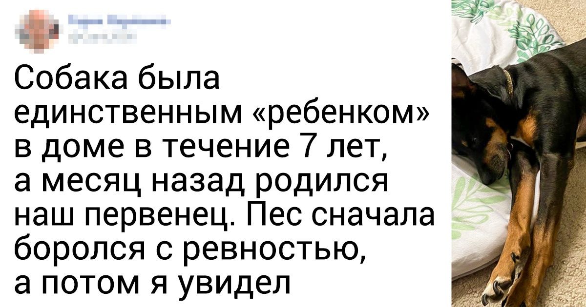 25 доказательств того, что жизнь ребенка рядом с питомцем полна пушистой нежности