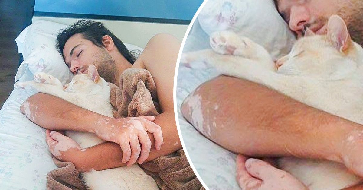 25 пушистых морд, которые без своих людей жить не могут и им без себя не дадут 25 пушистых морд, которые без своих людей жить не могут и им без себя не дадут