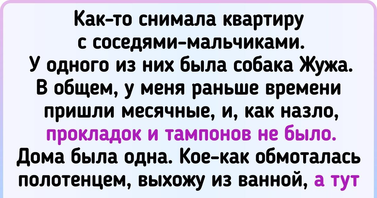 15 историй о питомцах, которые ошеломили хозяев своей находчивостью и смекалкой 15 историй о питомцах, которые ошеломили хозяев своей находчивостью и смекалкой