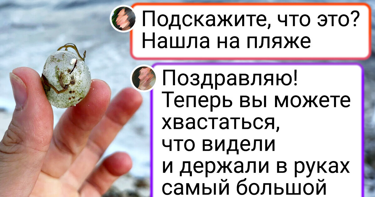 20+ удачливых людей, которым повезло столкнуться с настоящими чудесами природы 20+ удачливых людей, которым повезло столкнуться с настоящими чудесами природы