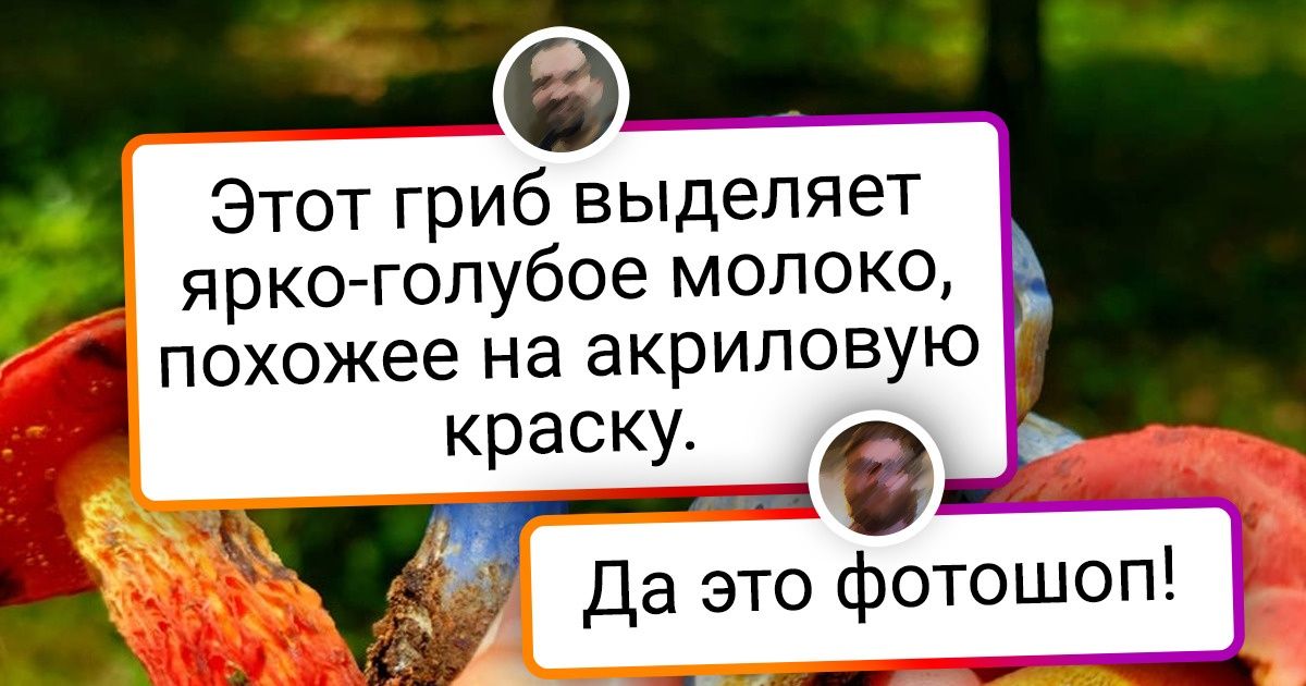 16 вещей безумного цвета, которые будто упали не в ту банку с краской 16 вещей безумного цвета, которые будто упали не в ту банку с краской