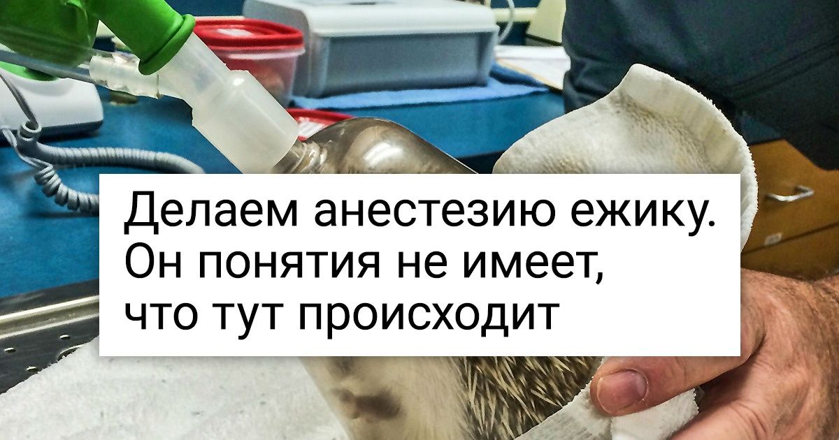 18 человек честно рассказали о своей работе то, что обычно обсуждают только на обеденных перерывах 18 человек честно рассказали о своей работе то, что обычно обсуждают только на обеденных перерывах