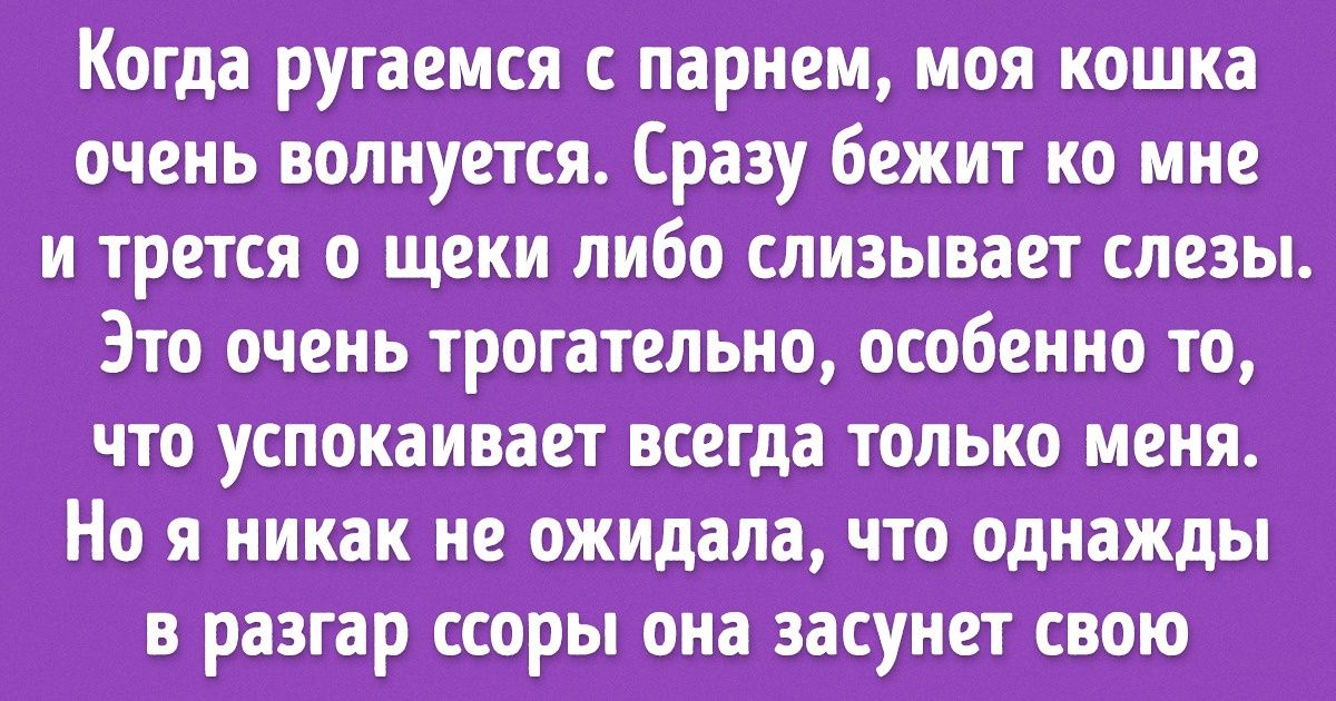 15 историй, которые доказывают, что животные гораздо умнее, чем мы думаем 15 историй, которые доказывают, что животные гораздо умнее, чем мы думаем