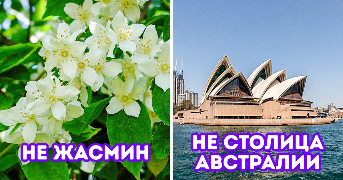 8 частых заблуждений, в которые многие почему-то продолжают верить 8 частых заблуждений, в которые многие почему-то продолжают верить