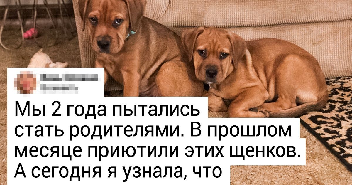 17 сильных фото, от которых сердце в груди начнет биться чаще 17 сильных фото, от которых сердце в груди начнет биться чаще